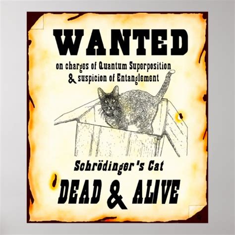 Wanted Cat Posters And Photo Prints Zazzle