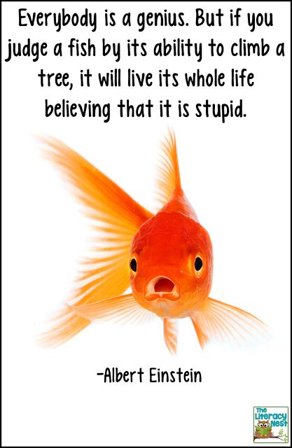 Fish In A Tree A Book Review Dyslexia Quotes Einstein Quotes Words