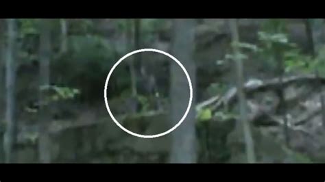 Six Seconds Of Ohio Grassmanfinding Bigfoot Youtube