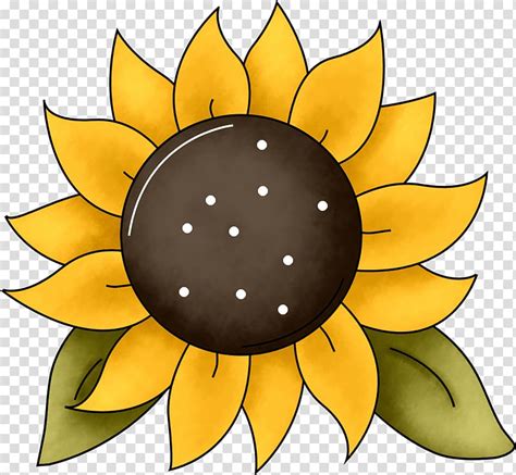 Common Sunflower Template Sunflower Leaf Transparent Background Png