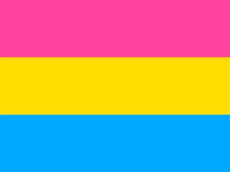 Pansexual Flag 3x5ft Pride Polyester Flag Bisexualasexualpansexual