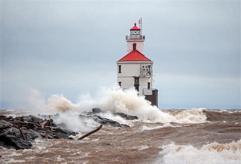 Lake Superior Storm in Progress! Waves! | 365 Days of Birds