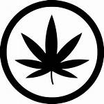 Cannabis Marijuana Icon Weed Svg Leaf Plant