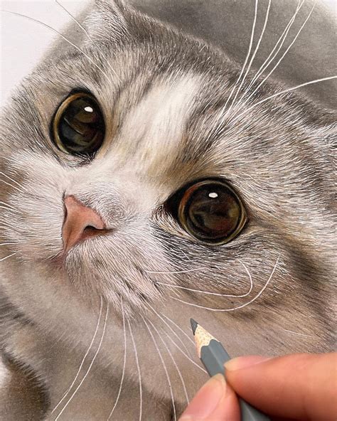 Artist Draws Incredibly Realistic Cat Faces Youll Want To Reach Out