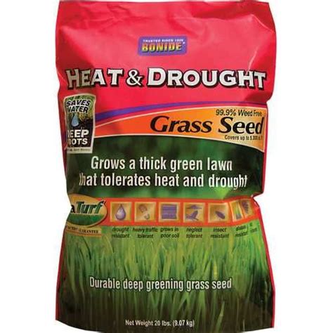 Heat And Drought Grass Seed Grass Seed Seeds Drought