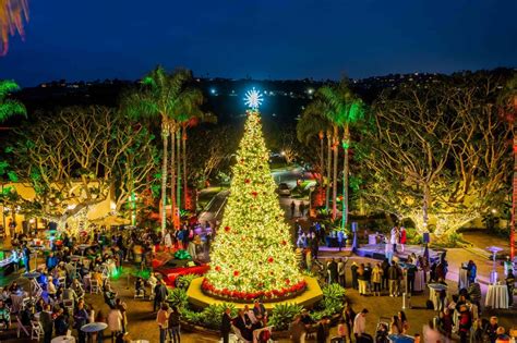 Magical Annual Tree Lighting Ceremony At Terraneas Front Drive