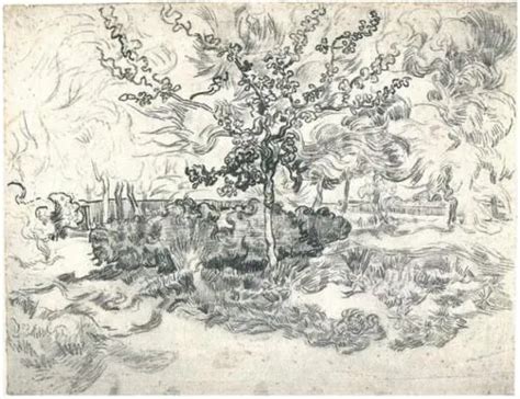 Vincent Van Gogh Garden Of The Asylum