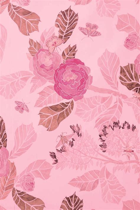 Dusty Pink Wallpapers Top Những Hình Ảnh Đẹp