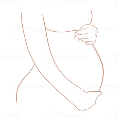 Pregnant Belly Outlined 19782674 Png