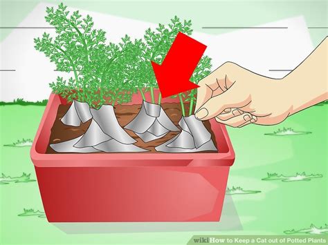 Cats can mistake the dirt in a houseplant for the litter in their box, and some even seem drawn to potted plants for this purpose. 3 Ways to Keep a Cat out of Potted Plants - wikiHow