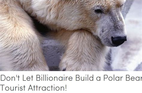 Sign Petition Dont Let Billionaire Build A Polar Bear Tourist