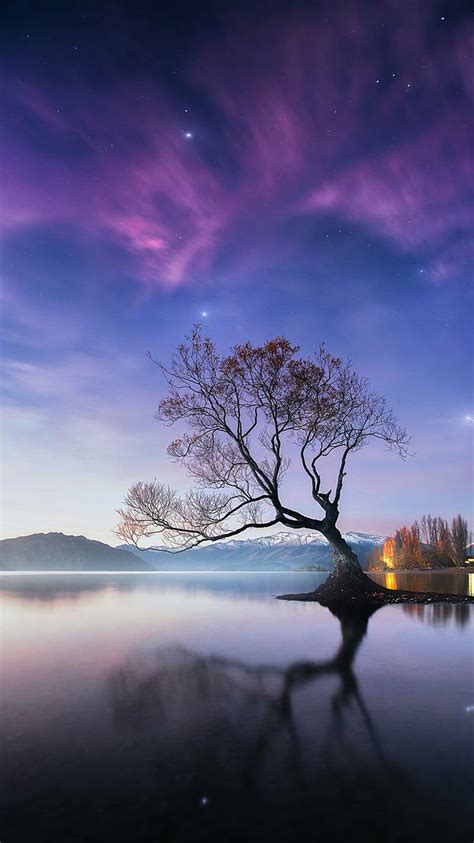Scenery Lake Nature Sky Tree Water Hd Phone Wallpaper Peakpx