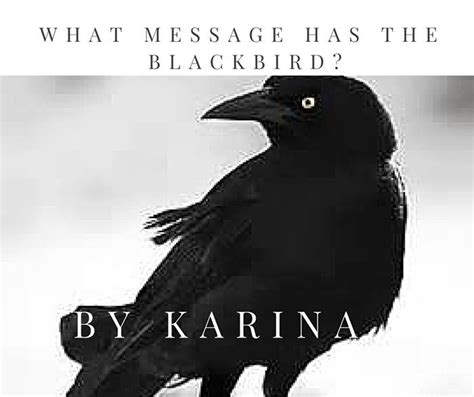 Crows Spiritual Meaning What Message Do Blackbirds Have For You