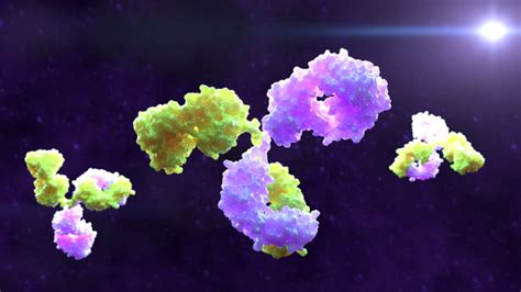 Flavivirus Envelope Protein Antibody 4g2 The Native Antigen Company