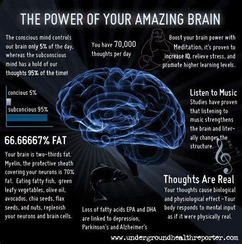 The Power Of Your Amazing Brain Infographic