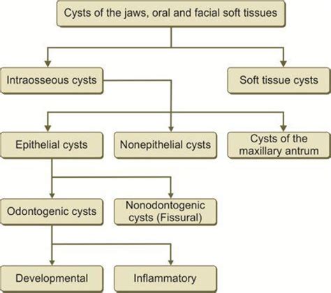 Cyst And Classification Focus Dentistry