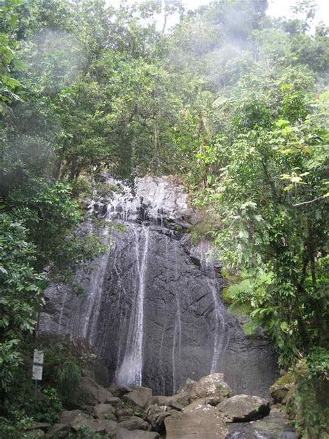 El Yunque Waterfall Puerto Rico Puerto Rico Pictures Waterfall Puerto