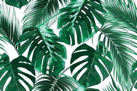 Tropical Leaves Wallpapers Top Free Tropical Leaves Backgrounds