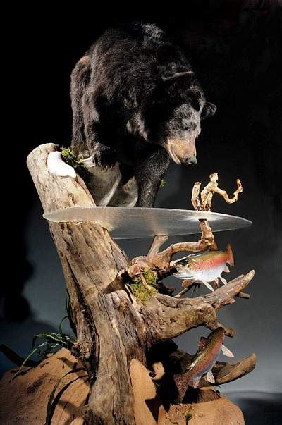 Bear Forms Bear Taxidermist Bear Taxidermy Black Bear Mount Bear