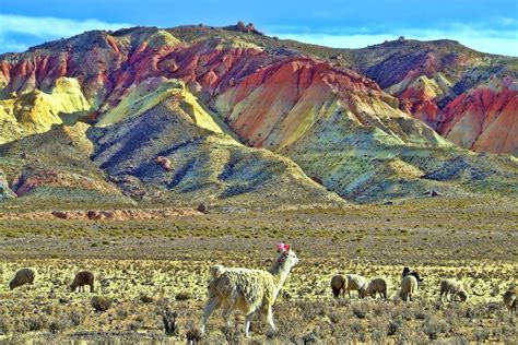 26 Destinos Para Conocer En Jujuy Fuera De Eje Blog