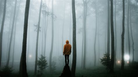 Man Fog Loneliness Forest Trees Picture Photo Desktop Wallpaper