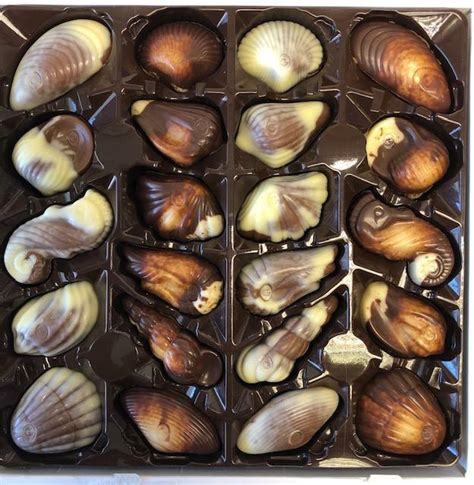 2 Boxes GuyLian Chocolate Sea Shells 250g Boxed Belgian Assortment The