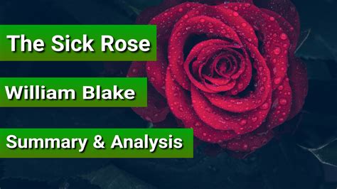 The Sick Rose Analysis And Summary By William Blake Web Academix