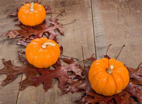 Pumpkins And Fall Leaves Stock Photo Containing Pumpkin And Mini High