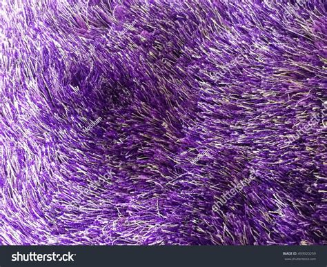 Closeup Purple Carpet Texture Stock Photo 493920259 Shutterstock
