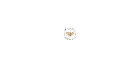 We did not find results for: The White Rose Guild brand logo animation - YouTube