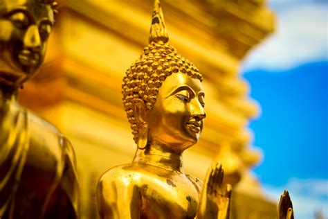 360 million people follow the teachings of buddha. Wallpaper : temple, yellow, statue, Thailand, Buddhism ...