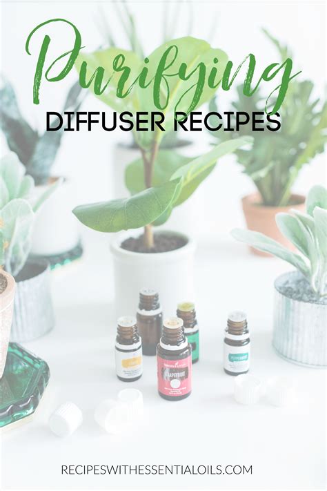 Make your home environment a more peaceful and calm place. These 7