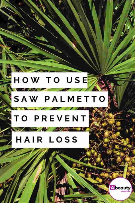 How To Use Saw Palmetto To Prevent Hair Loss Hair Loss Women Treatment Hair Loss Women Thick