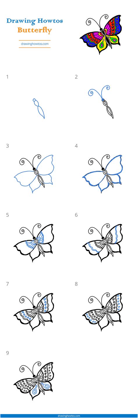 How To Draw A Butterfly Step By Step Easy Drawing Guides Drawing Howtos