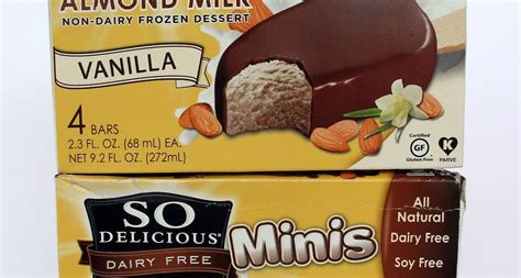 The Laziest Vegans In The World So Delicious Almond Milk Ice Cream Minis