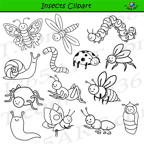 Insect Clipart Set Commercial Use Graphics Clipart 4 School