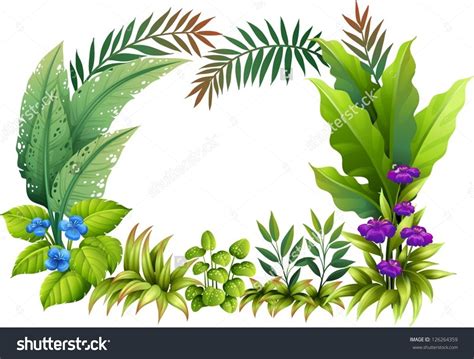 Tropical Plants Clipart 20 Free Cliparts Download Images