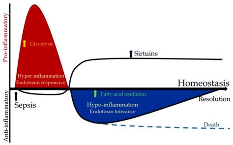 Ijms Free Full Text Sirtuins And Immuno Metabolism Of Sepsis