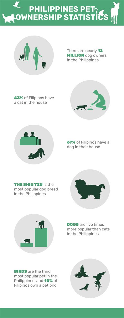 11 Philippines Pet Ownership Statistics To Know In 2023 Pet Keen