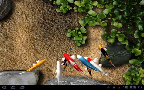 Latest koi fish live wallpaper : Android Wallpaper Review: Koi Live Wallpaper | Android Central