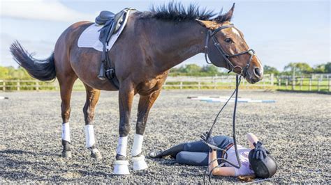 Research Shines Linght On Equestrian Related Injuries Horse And Hound