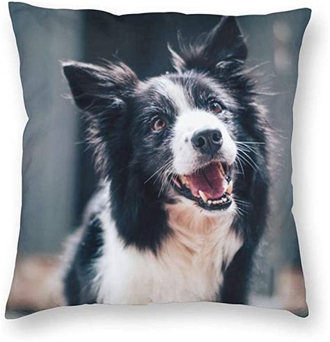 Wazhijia Border Collie Decorative Throw Pillow Covers 18 X