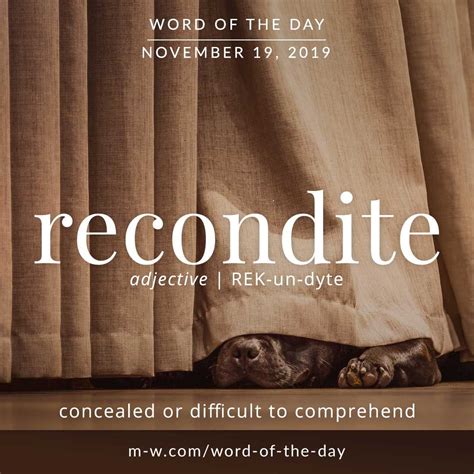 Word Of The Day Recondite Words Slang Words Uncommon