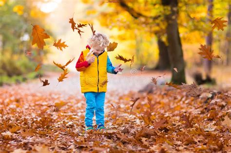 Child In Fall Park Kid With Autumn Leaves Stock Image Image Of