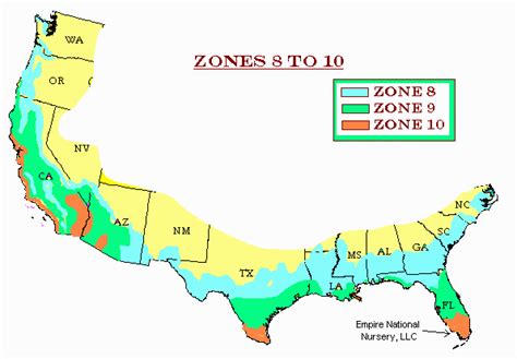 8 Steps To Garden Success In Zone 8b Preparednessmama In 2020 Gardening Zones Zone Organic