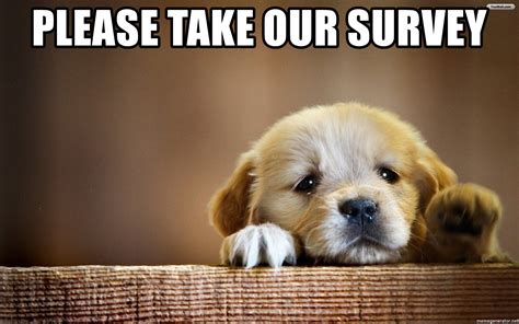 Whatever you want to say, there's a meme for that. Please take our survey - sad puppy love | Meme Generator