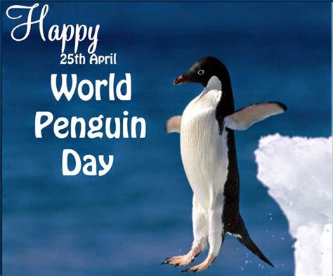 Pin By Benchmark Education Company On Animal Lives Matter Penguin Day