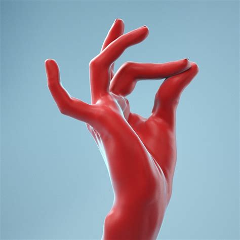 Pinch Gesture Realistic Hand Model 09 | CGTrader