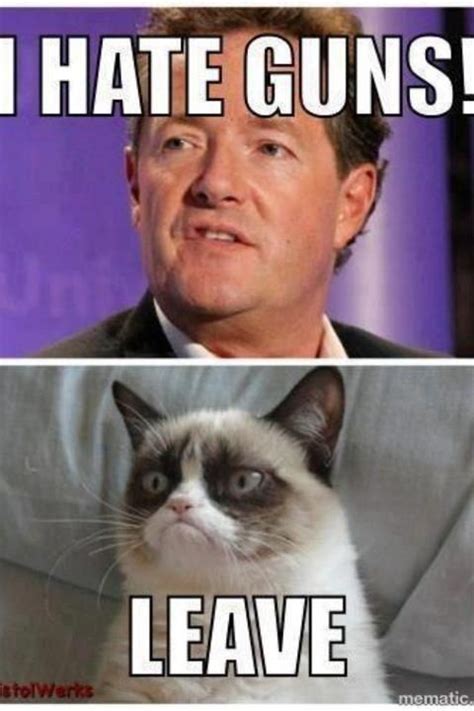Piers Morgan Cnn Gun Control Second Amendment Democrats Grumpy Cat