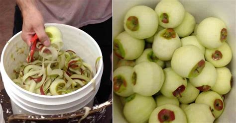 He Peels 6 Apples In 30 Seconds When You See How Youll Want To Try